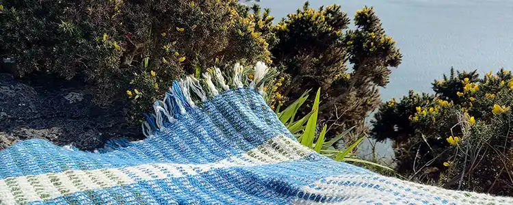 Little Red Hen Tweed Banner